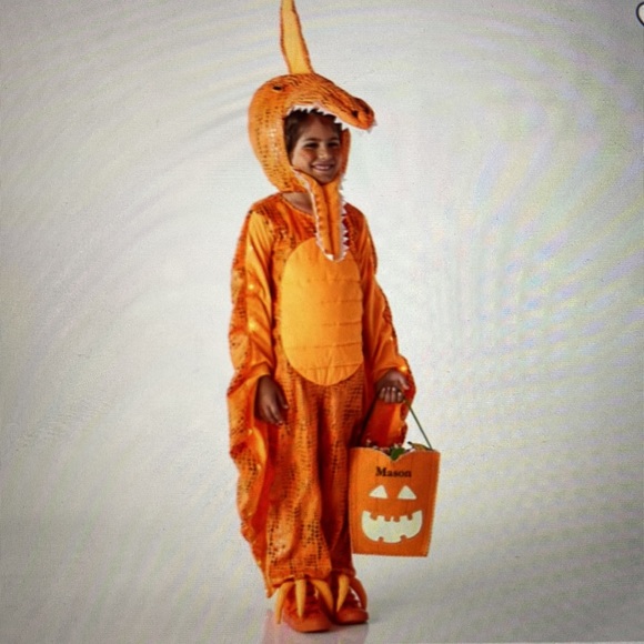 Pottery Barn Kids Costumes Pottery Barn Kids Light Up Pterodactyl